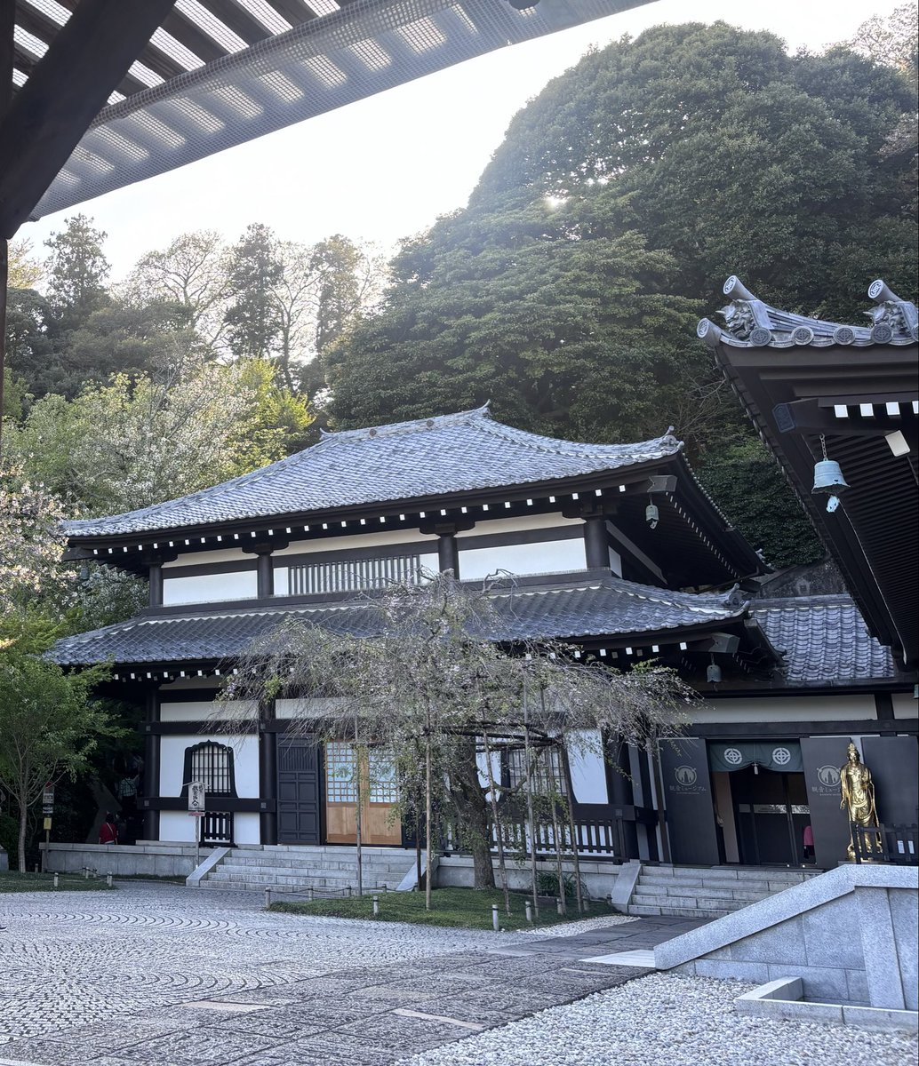 Lauren ! 🌟 tweet media