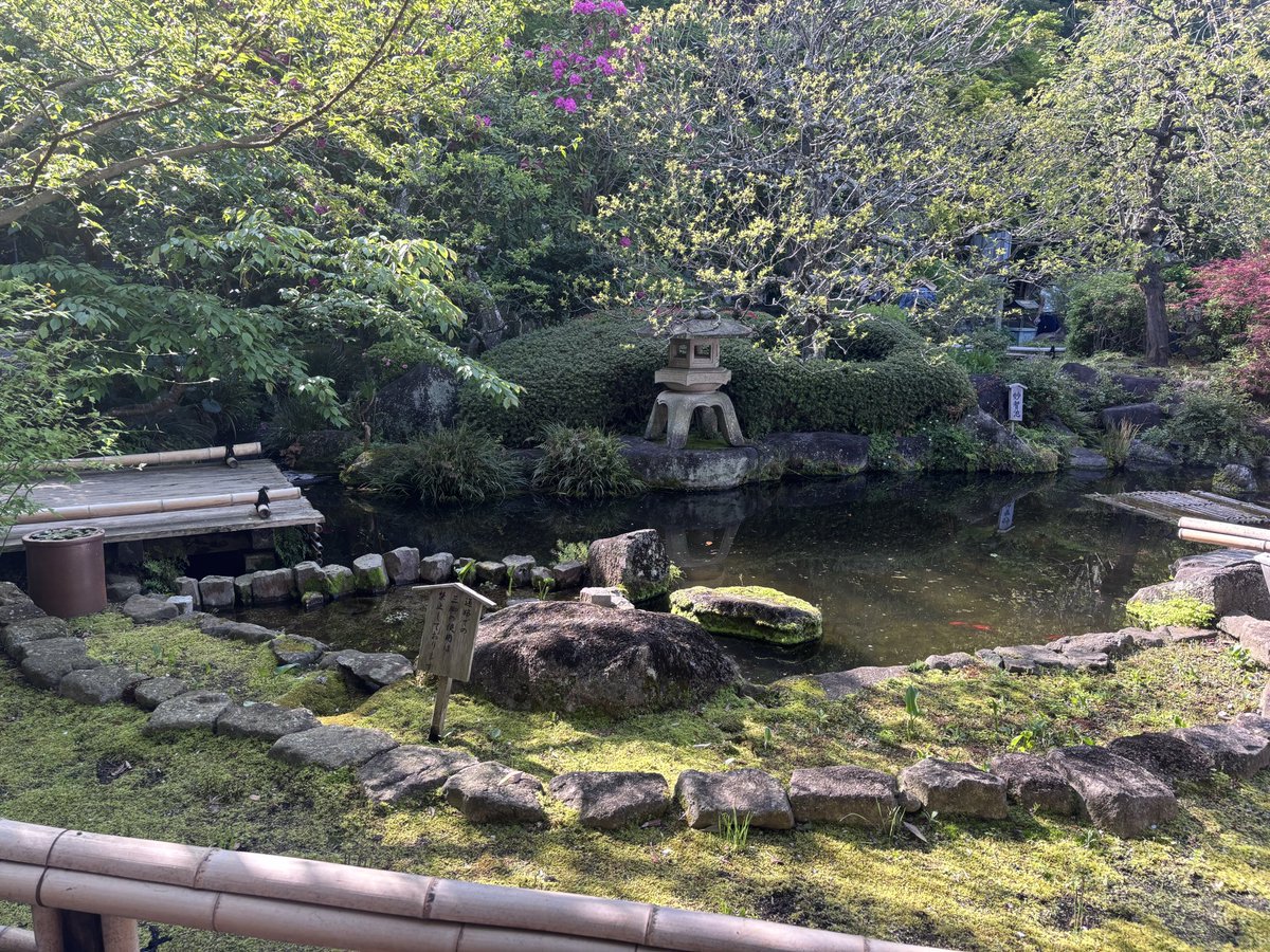 Lauren ! 🌟 tweet media