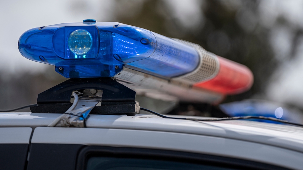 En Perspectiva tweet media