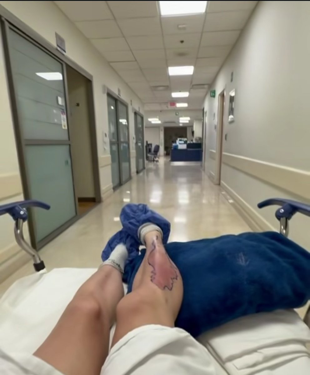 ✖️ La subtrama de Taylor Momsen en Latinoamérica.

La cantante de The Pretty Reckless, invitados de la gira de AC/DC, sufrió la picadura de una araña venenosa en la pierna y está hospitalizada en México.