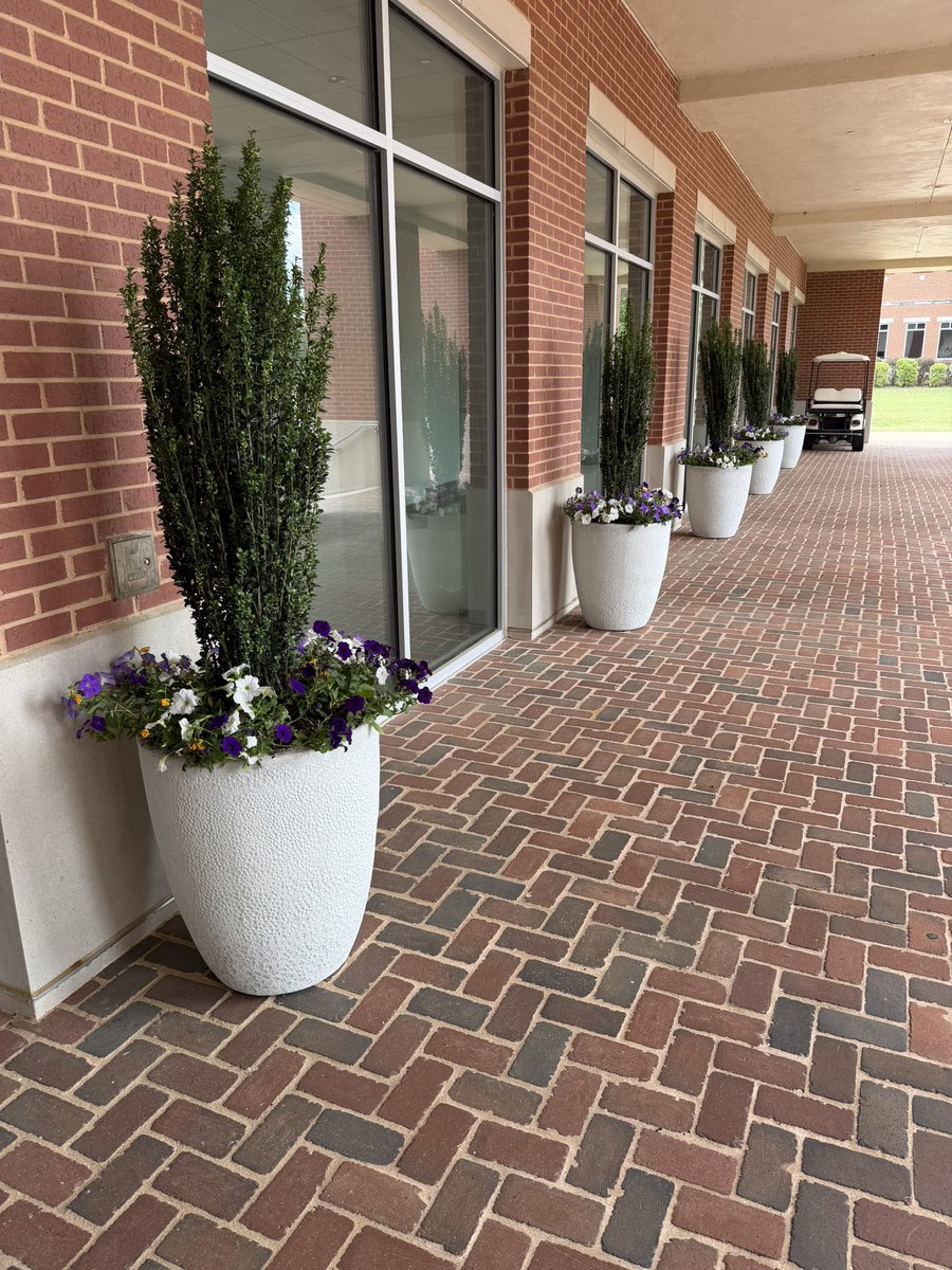 AlcornBusiness's tweet image. Spring is IN THE AIR at the School of Business! The flowers are blooming, the energy is HIGH, and we are PROUD to showcase the beauty of our school! ✨💛

Presentation matters — inside AND outside the classroom! 💼🏛️

#AlwaysAlcorn #AlcornBusiness #SpringVibes 🌺