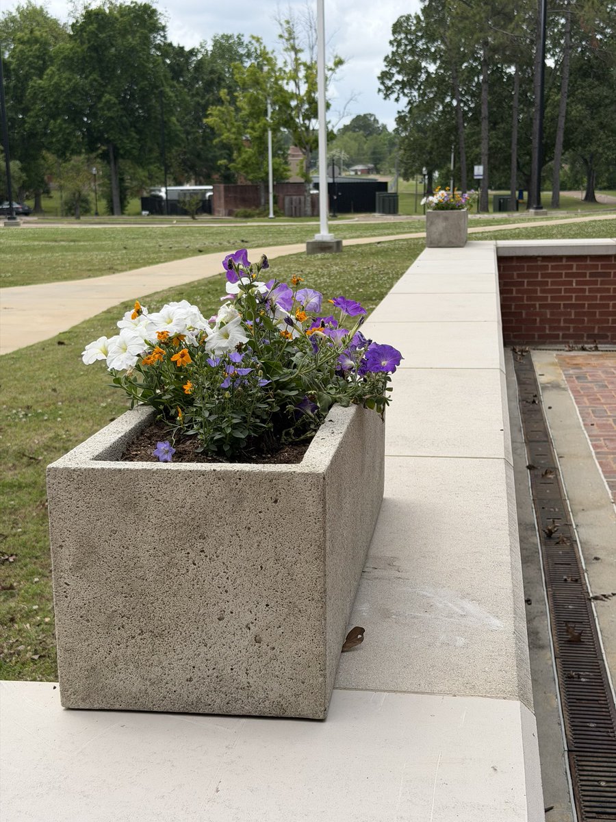 AlcornBusiness's tweet image. Spring is IN THE AIR at the School of Business! The flowers are blooming, the energy is HIGH, and we are PROUD to showcase the beauty of our school! ✨💛

Presentation matters — inside AND outside the classroom! 💼🏛️

#AlwaysAlcorn #AlcornBusiness #SpringVibes 🌺
