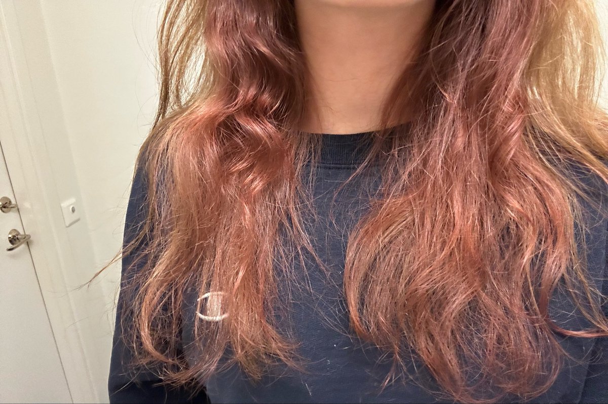 𝑀𝐸𝐿 ★ Shedtwt 👻 tweet media