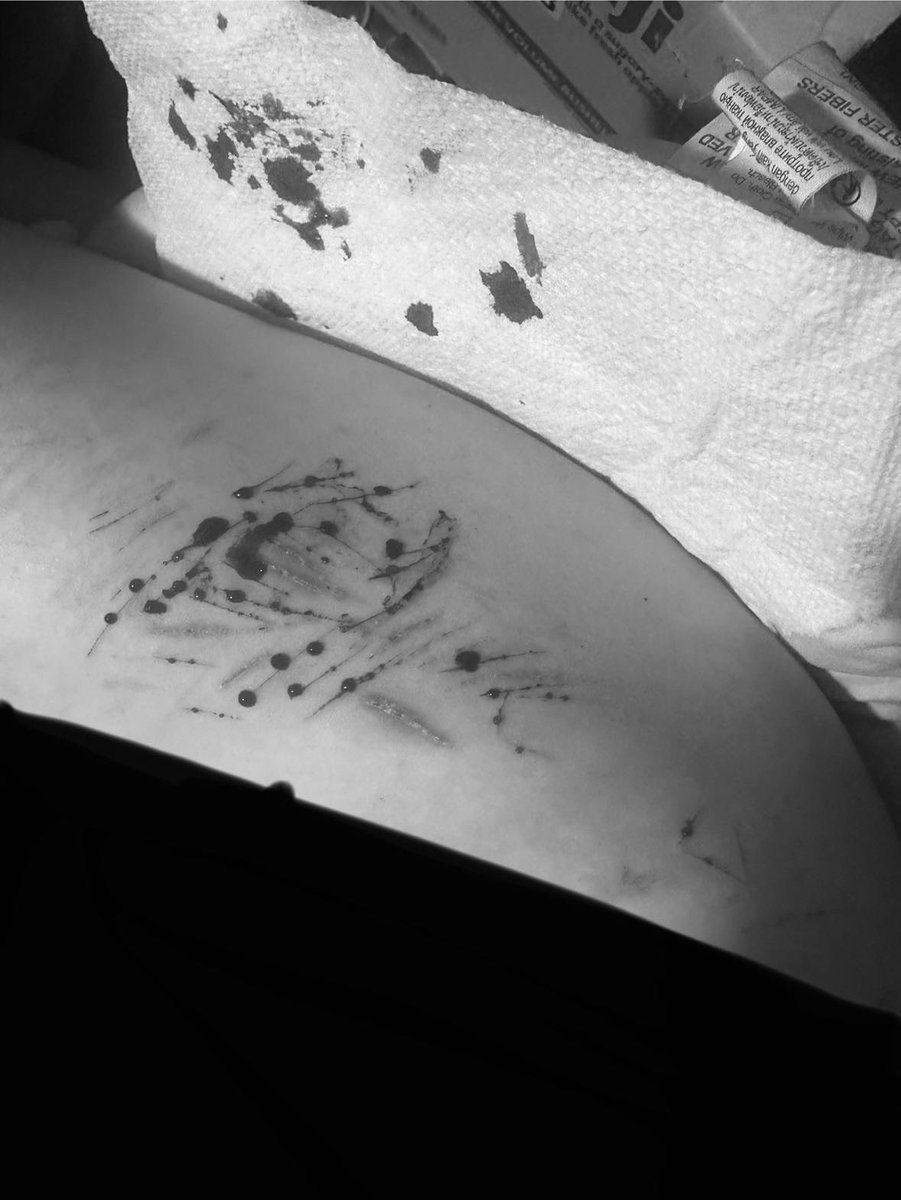 Flutter_bat28's tweet photo. Small sesh from last night all are tiny styros but didn’t wanna open how I wanted to only one did tho TwT
#shtwt https://t.co/9hdv9zGJXO