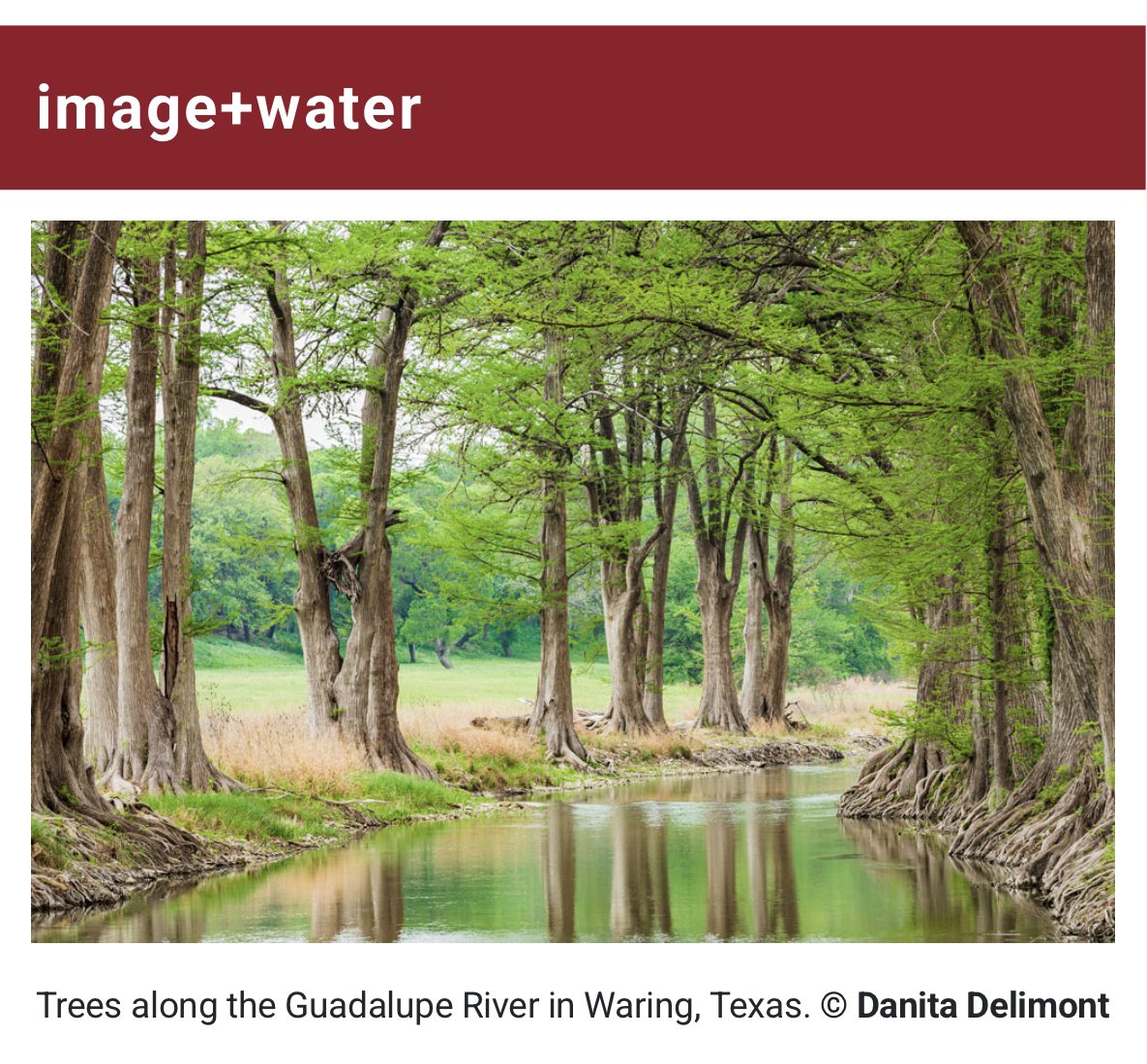 TexasPlusWater's tweet image. Missed Texas+Water for April? Don’t miss the Outlook on #rain &amp;amp; #drought, Think+#Water, Talk+Water➕so much more! mailchi.mp/texaspluswater…
#texaswater #Texas #TX #txlege #txwx