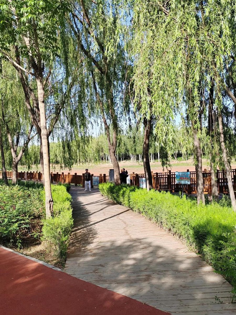 ravan72599's tweet image. "Today’s win: 10 mins of unplanned sidewalk chalk doodles with my kid—no screens, just giggles u0026 messy masterpieces.  What’s your tiny joyful moment today #ParentingJoy #UnpluggedPlay"