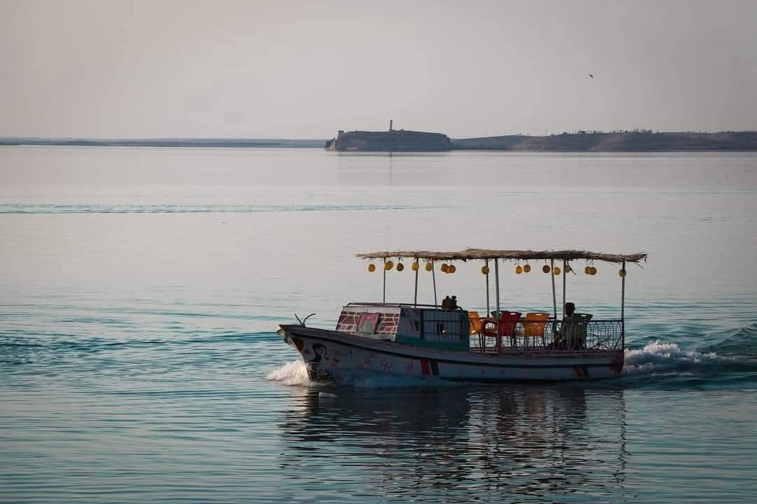 محمد tweet media