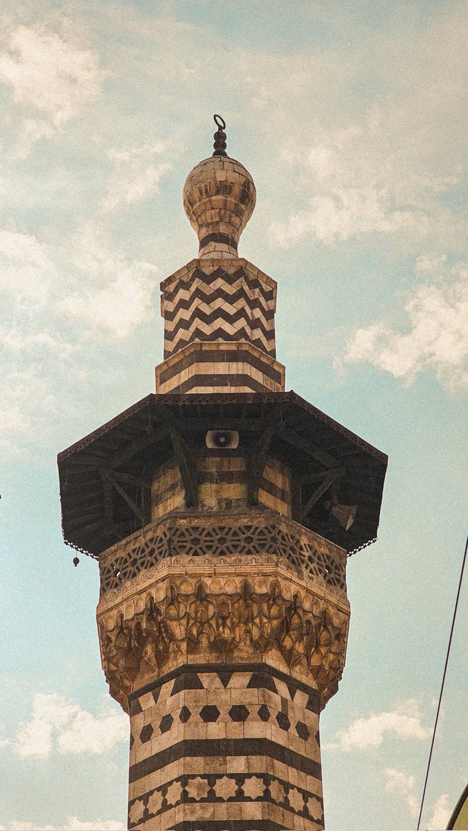 Potato | محمد tweet media