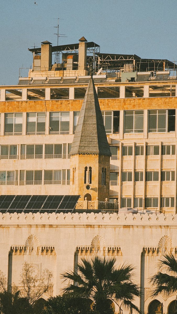 Potato | محمد tweet media