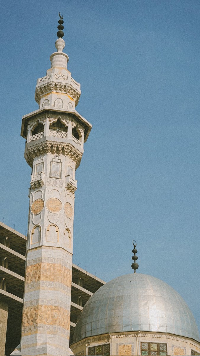 Potato | محمد tweet media