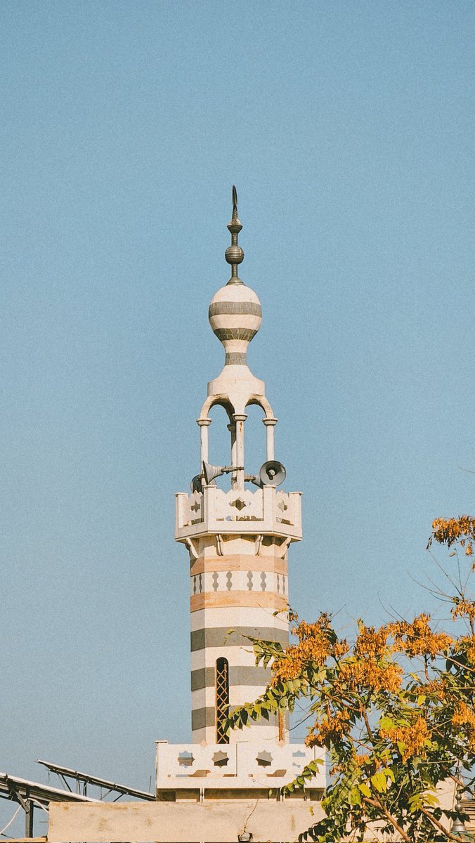 Potato | محمد tweet media