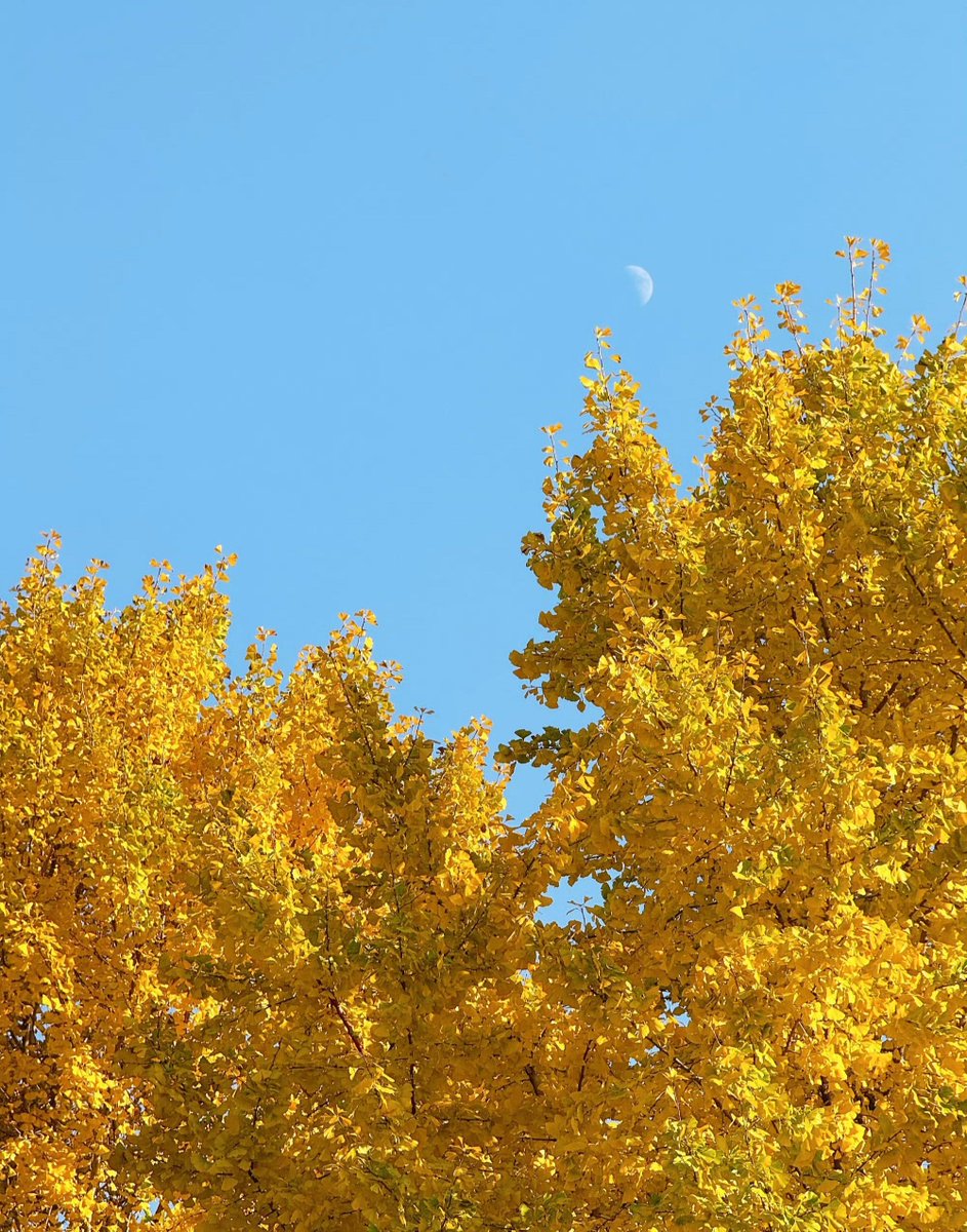 ClaireCreuse tweet media