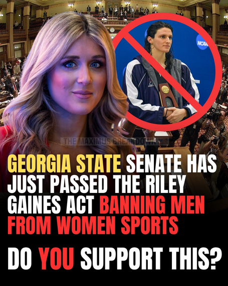 SaltyGoat tweet media