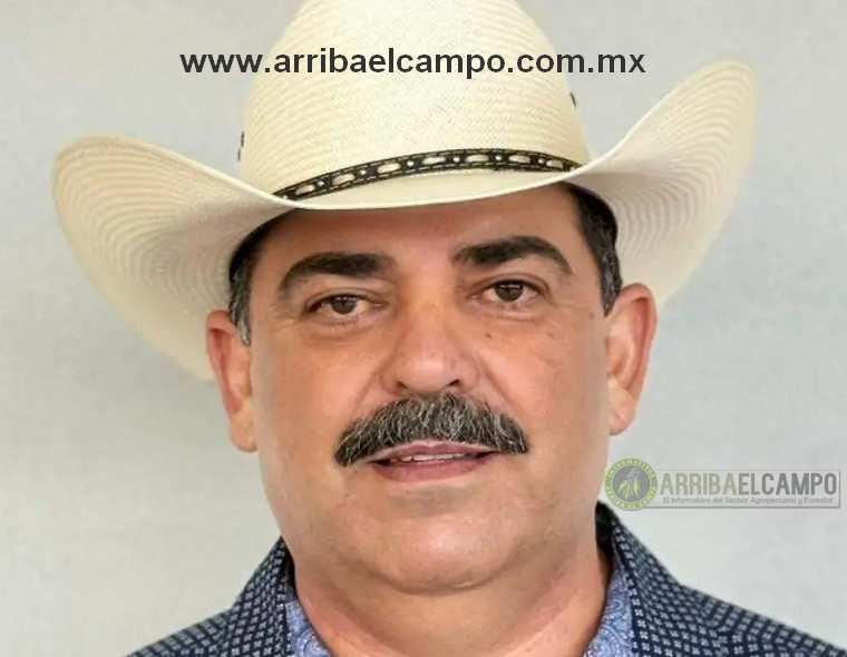 ArribaElCampo's tweet image. En #SantaIsabel ya están trabajando con el Estado en los diferentes #programas para los #productores, así como en obras para el municipio: Fernando Ortega arribaelcampo.com.mx/en-santa-isabe…