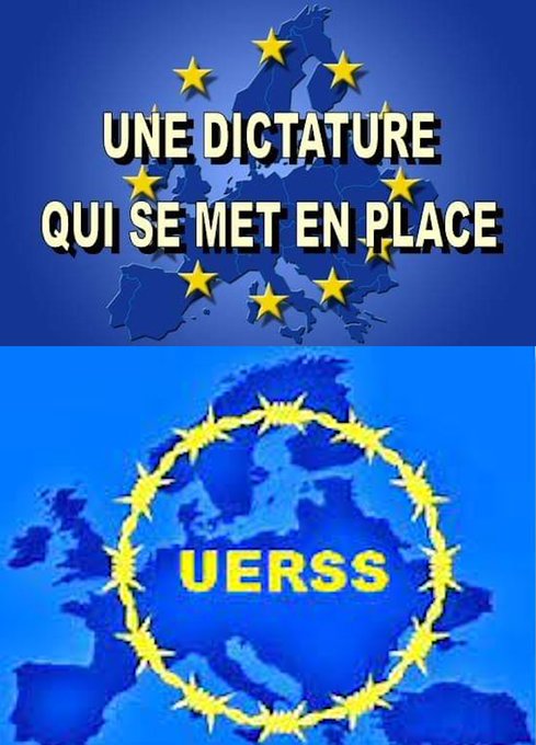 Pinguoin libre 74 Non OGM 🇫🇷 ⓩ R! 🇷🇺 tweet media