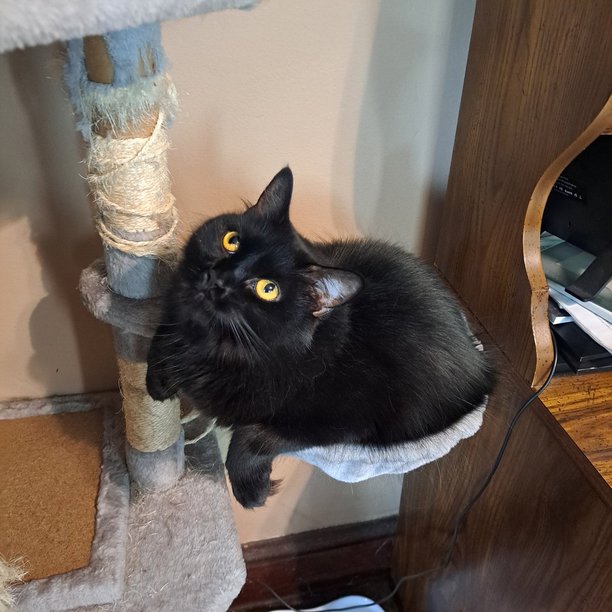 PiA³ ＜★ BILLLIE Y NMIXX CB tweet media