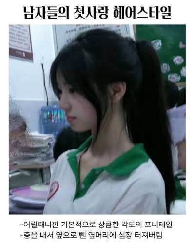 연금술사 tweet media