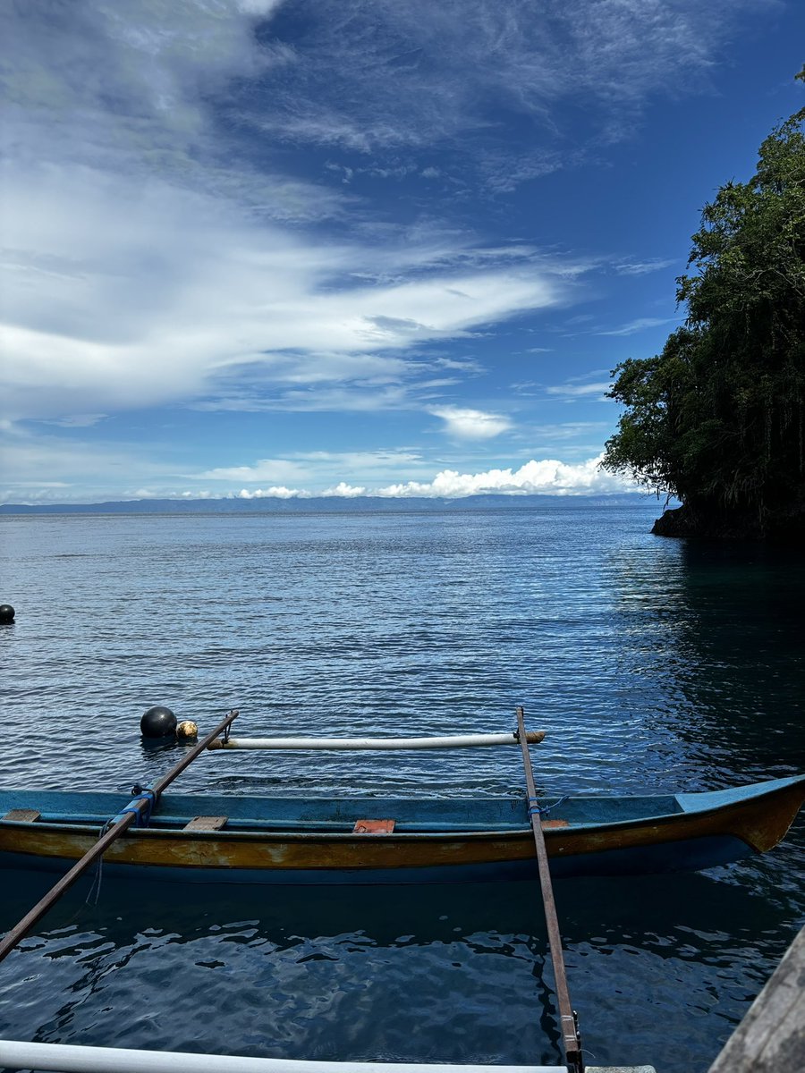 Nita Astara tweet media