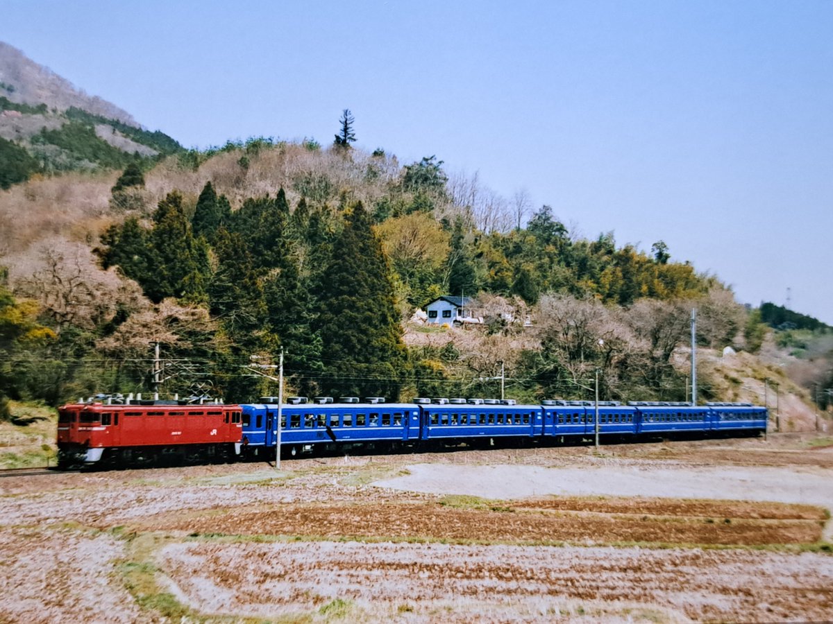 リバティ常磐 tweet media