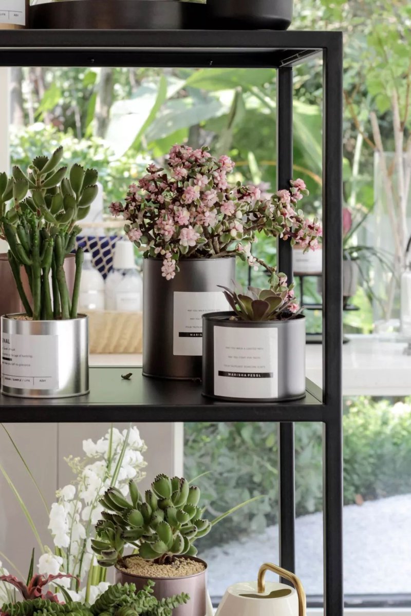 lisababy tweet media