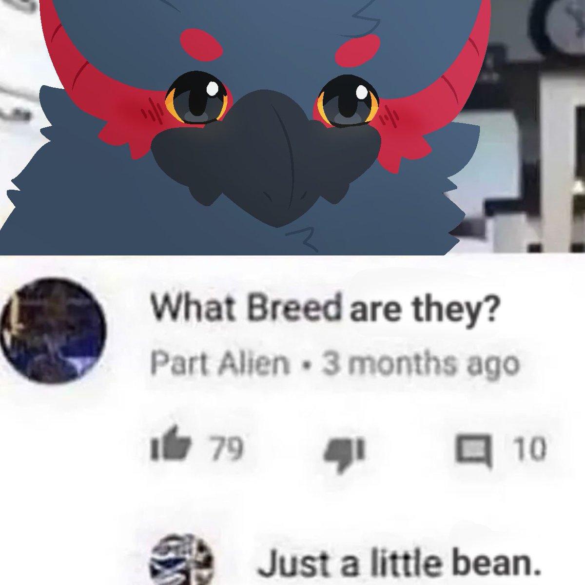 What breed is this nargacuga? Just a little bean...

And yet another silly cuga remake!!