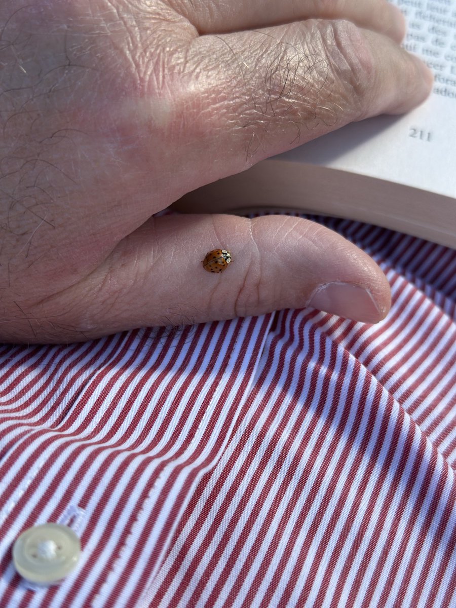 Dr Mayo, PhD in Procrastination tweet media