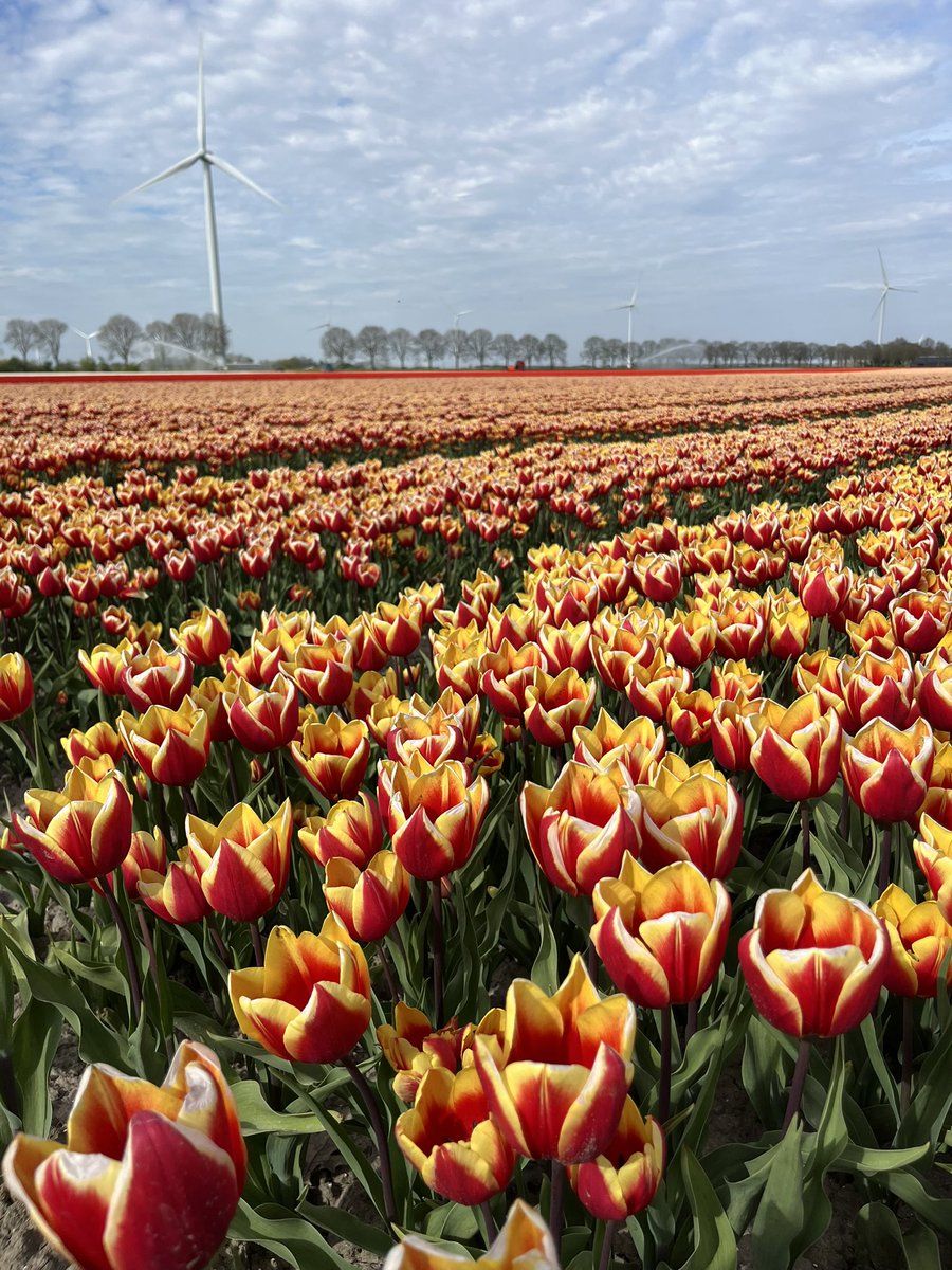 Metha de Vos 🇨🇭🏯🚠 tweet media