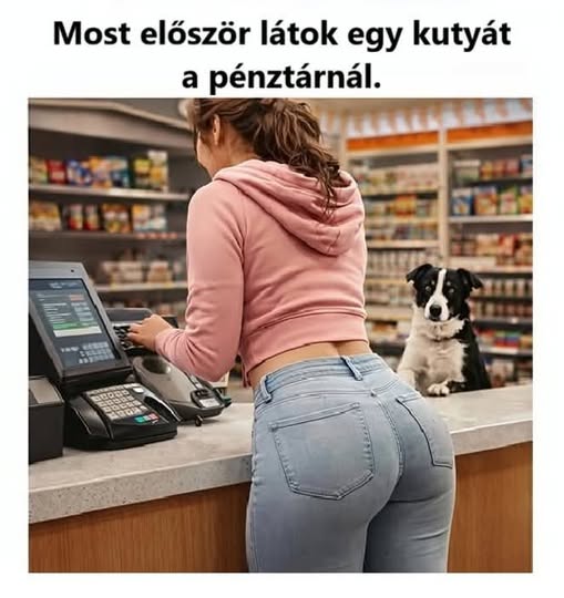 Toth Bandi tweet media