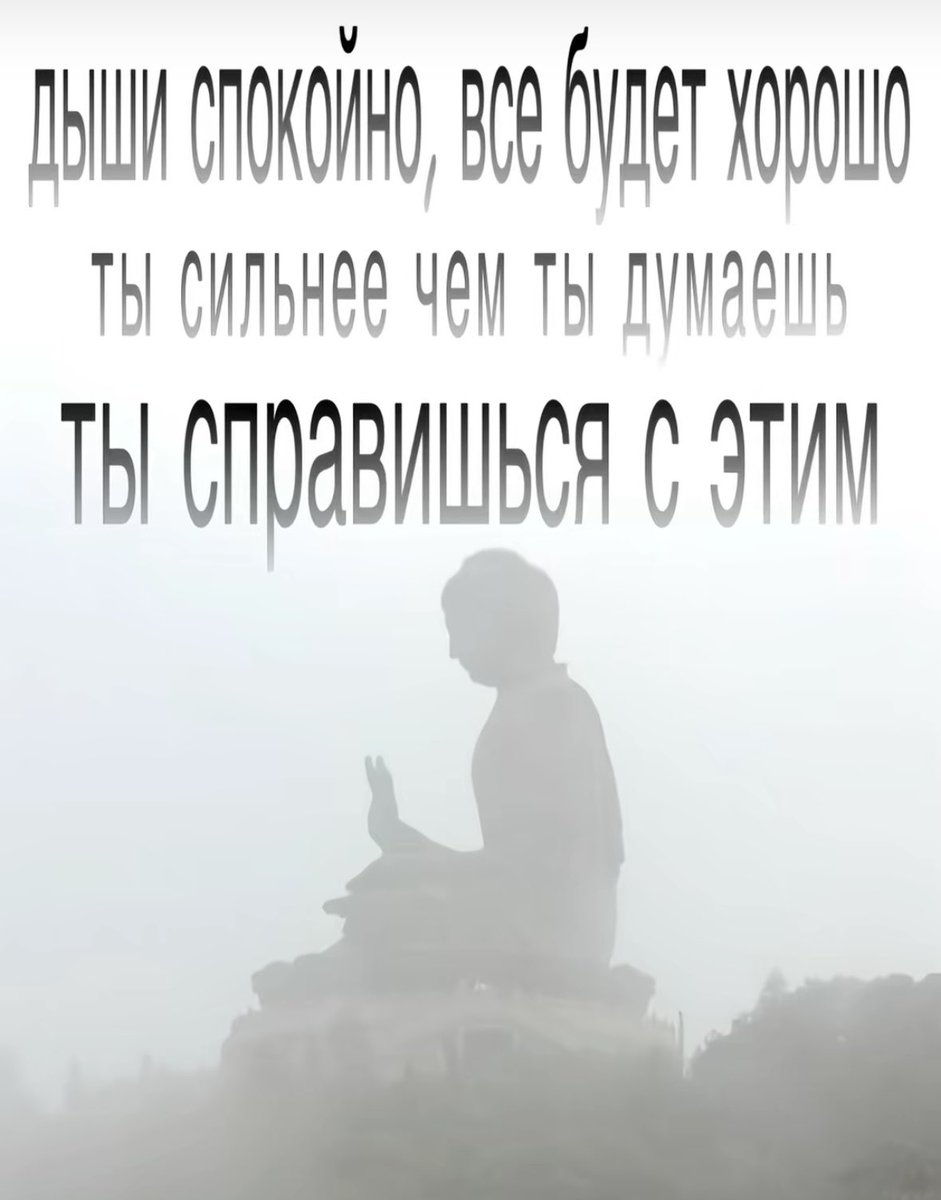 Mira⁷ | en tweet media