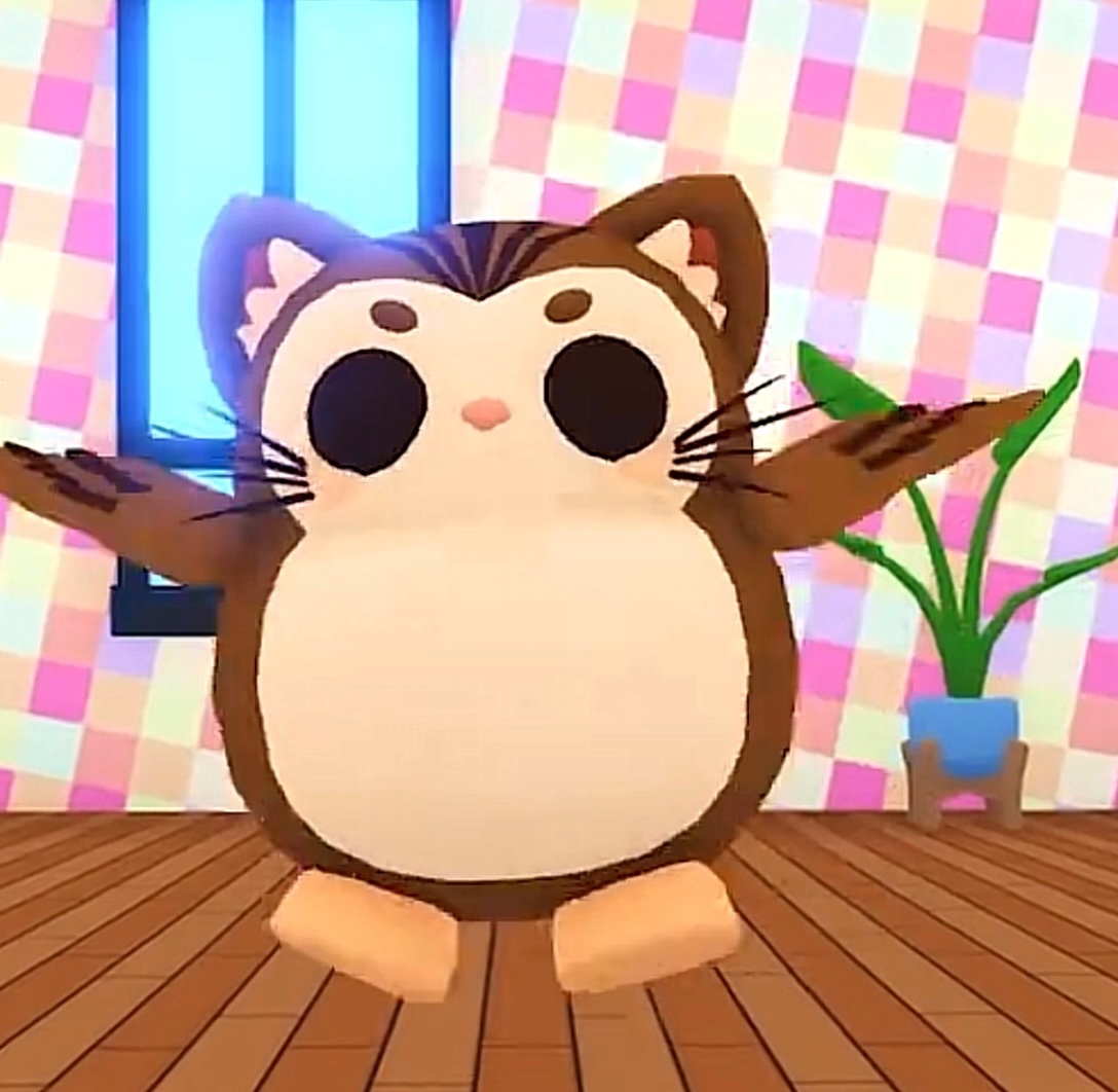 Uplift Alliance 🔎 tweet media