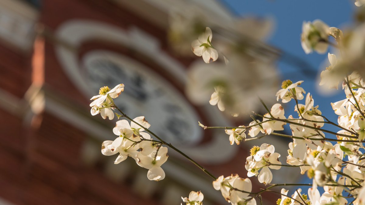 Auburn University tweet media