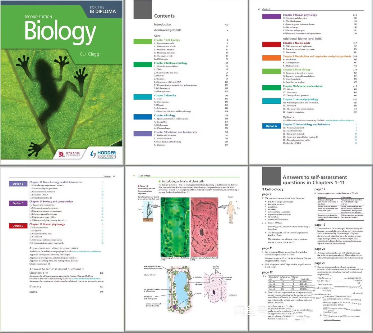 Saiyan way tweet media