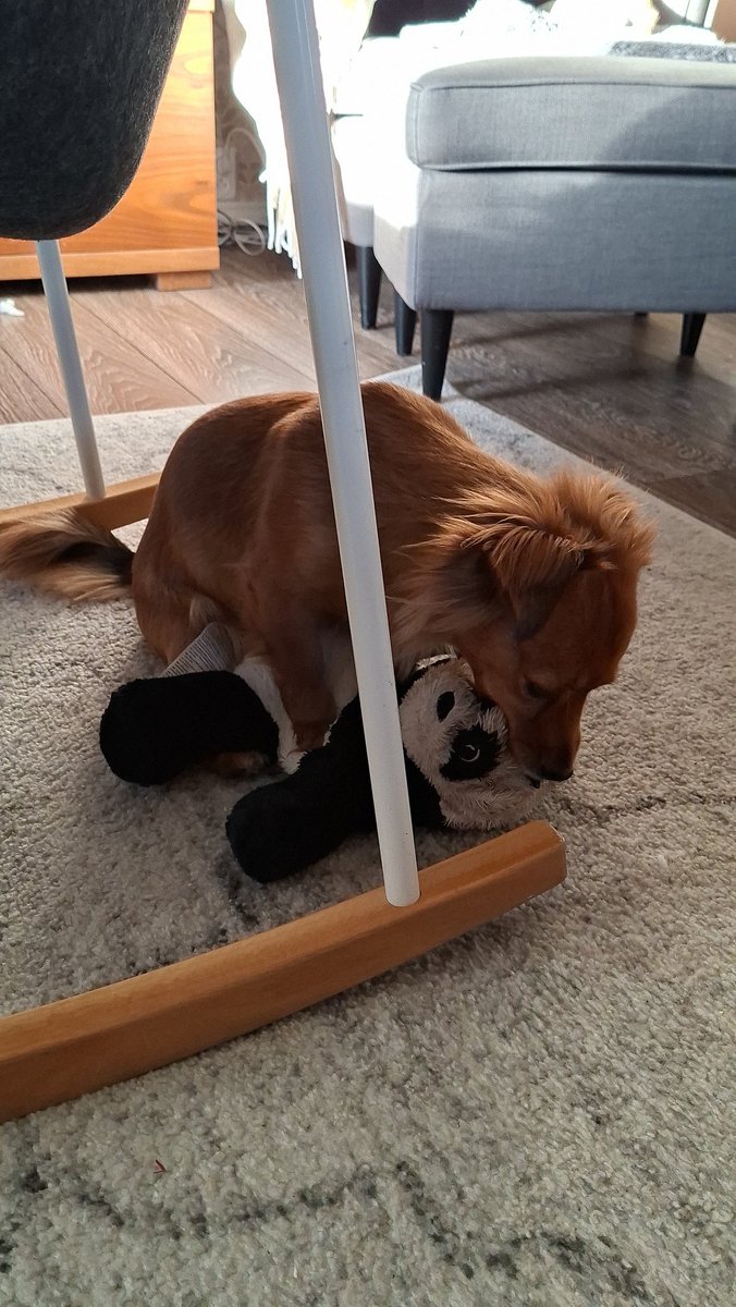 Kati Pyykkönen tweet media