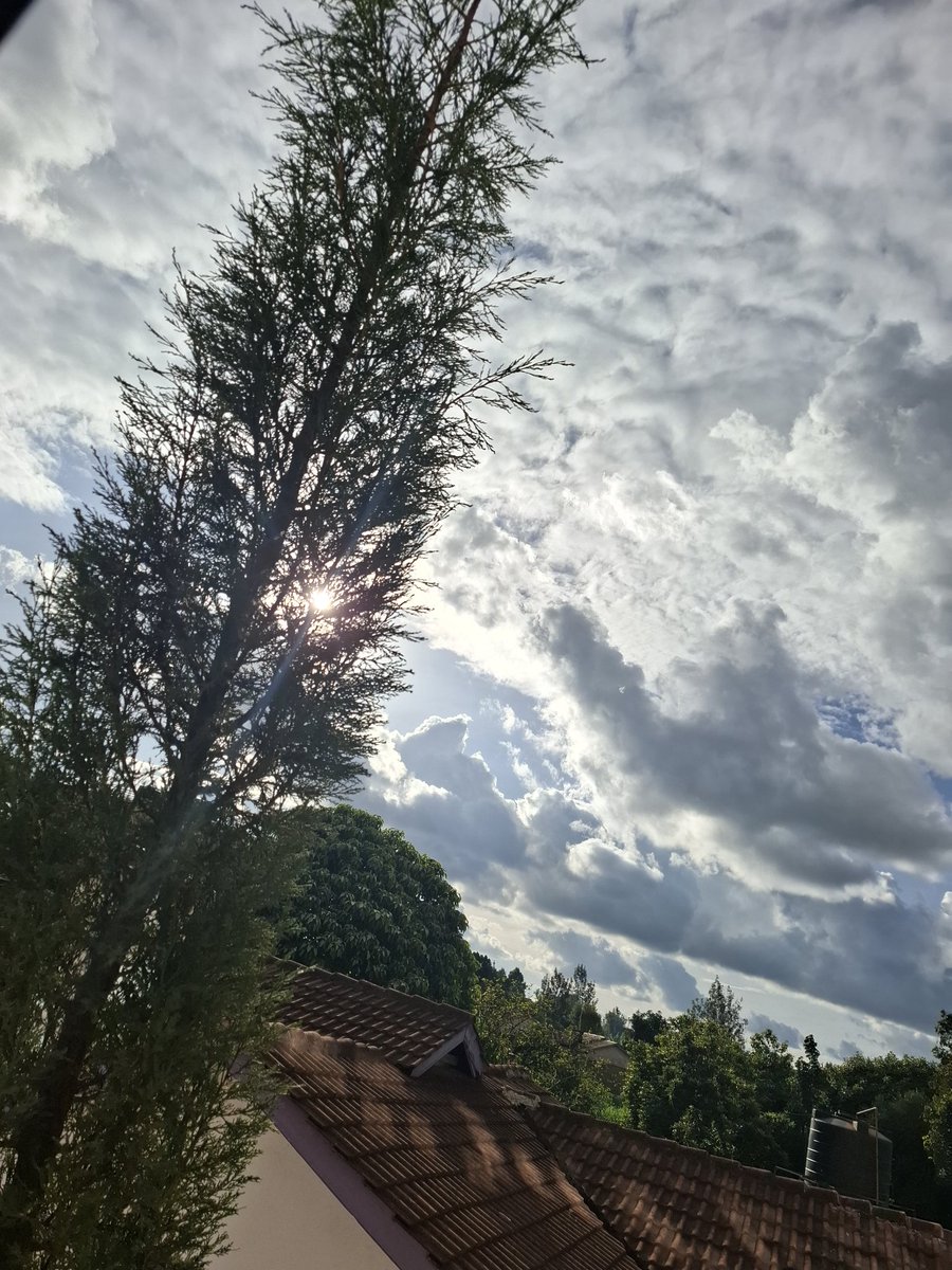 Hopemidah tweet media