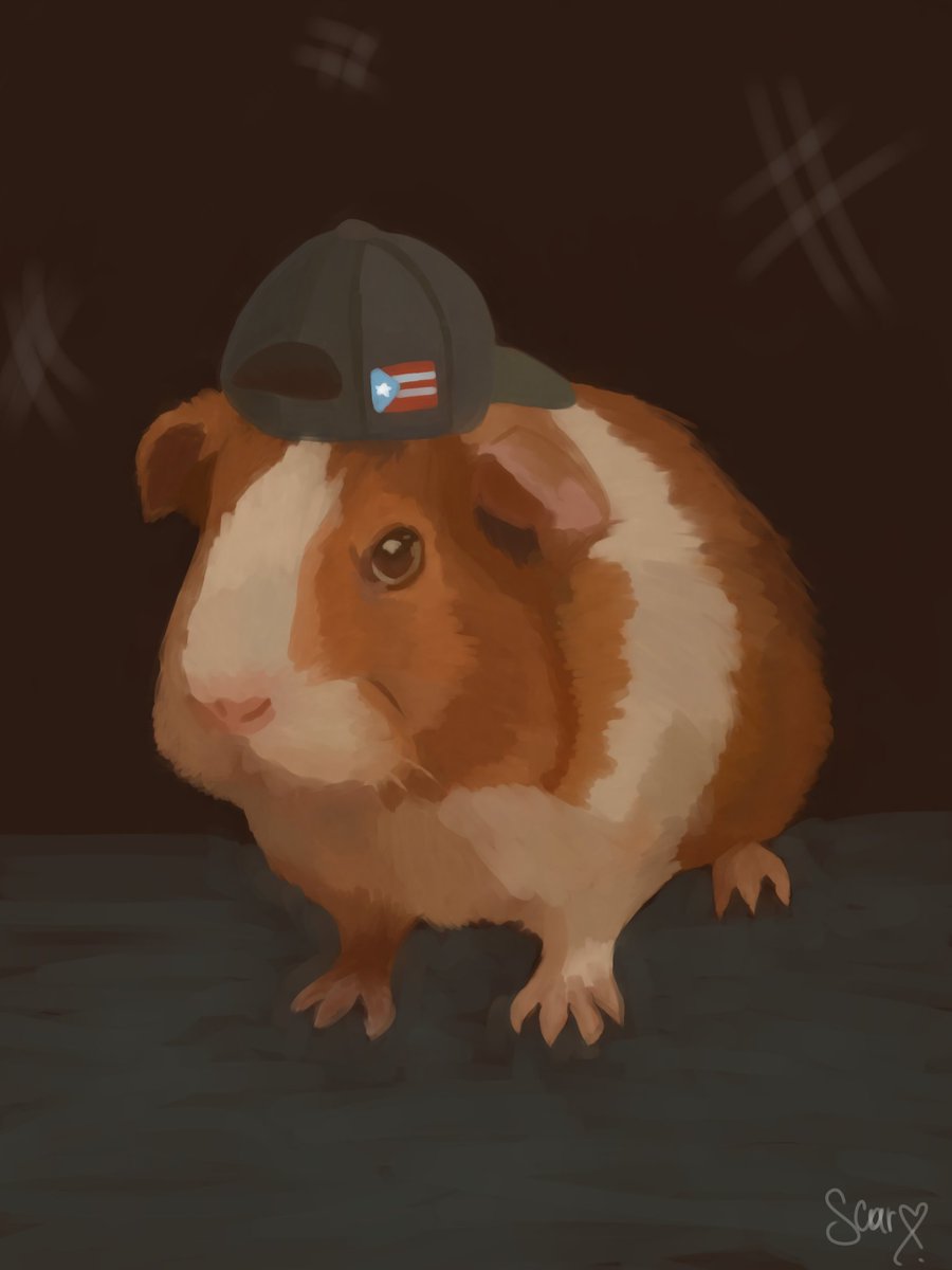 el hijo en la presentación de su madre🥊🎨🖌️

[<a href="/alondrisaa/">alo</a>]