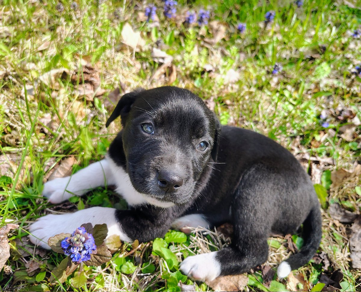 Whale Psychiatrist ™️ tweet media