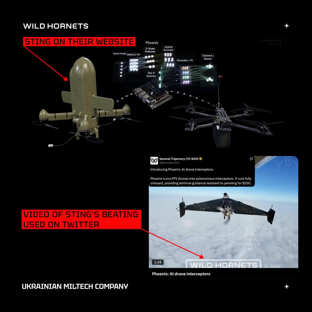 Wild Hornets tweet media