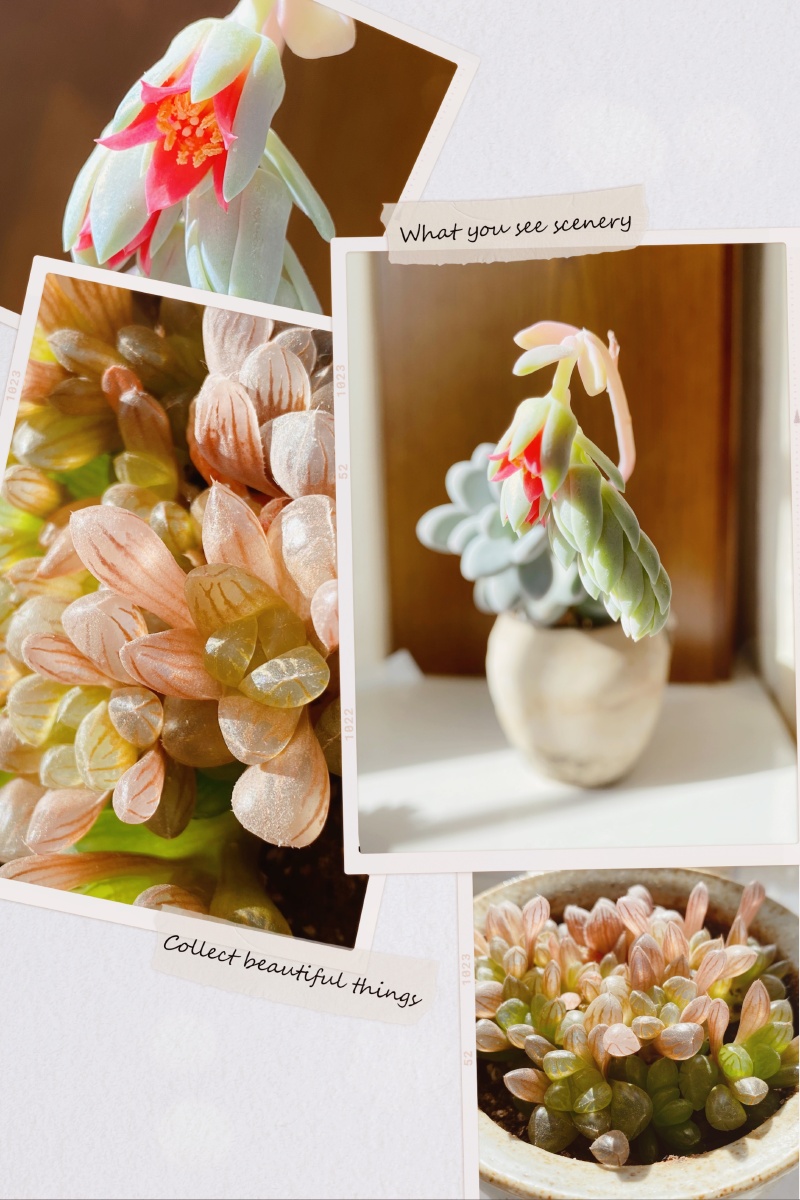 BerkayKalkan newyork tweet media