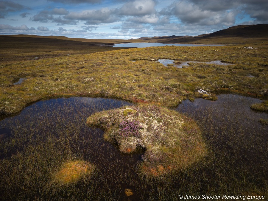 Little Green Space 🦋 tweet media