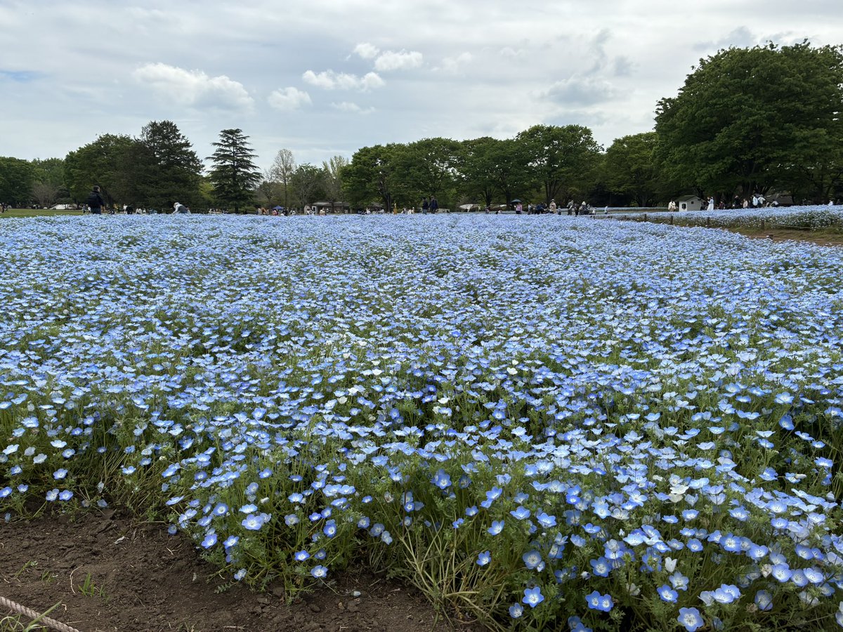 アコードバル🔔🧡💚🦧🐕🚙♨️😊 tweet media