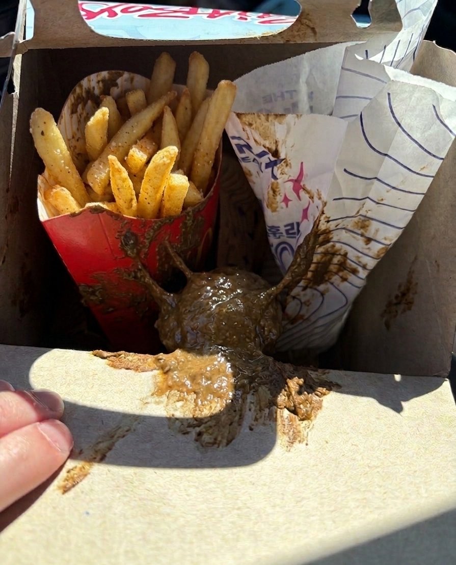 my k-pop demon hunter meal came with poo instead of photo cards. i’m pissed.