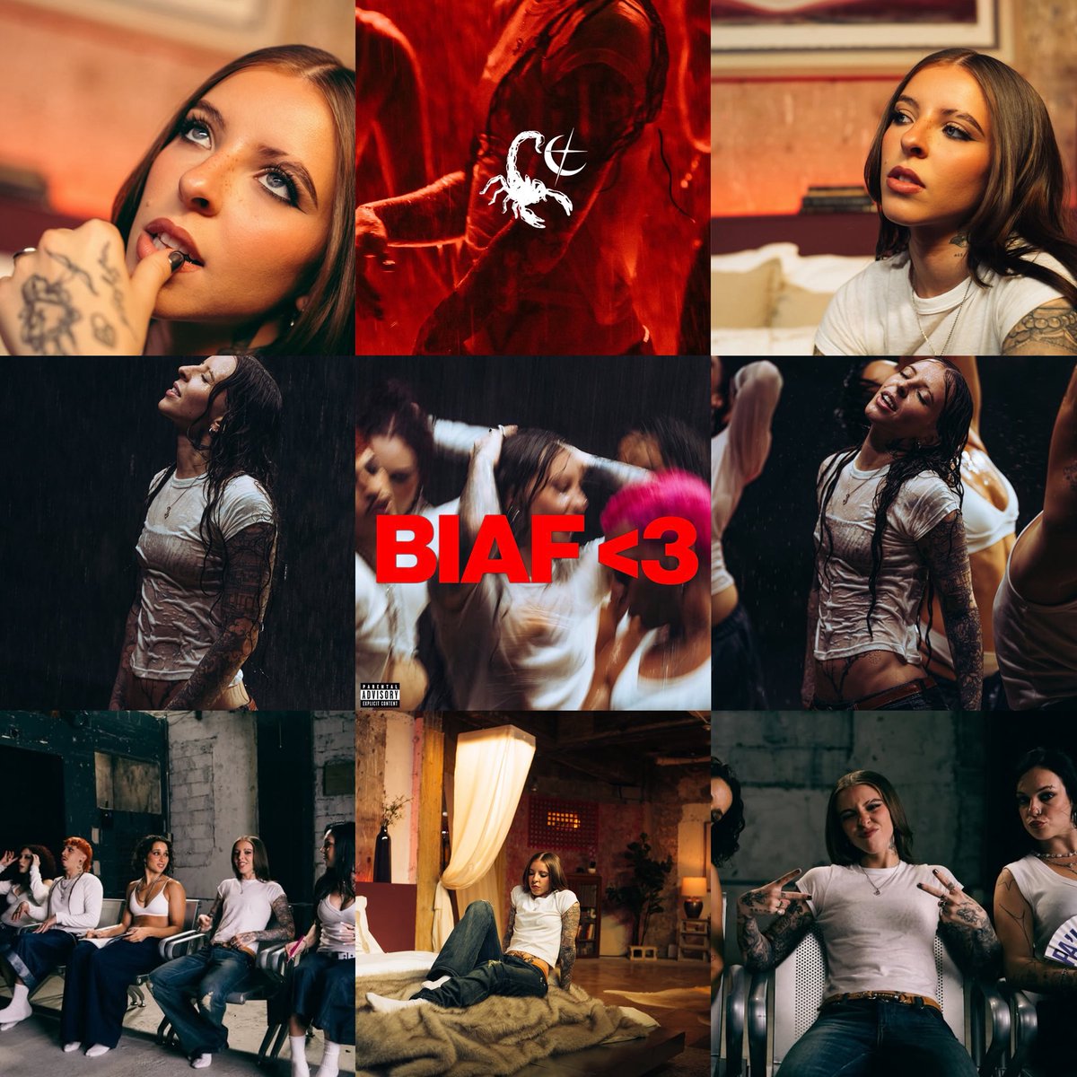 𝗮𝗺𝗮𝗻𝗱𝗶𝘁𝗮 🦂 tweet media