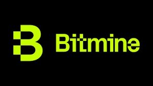 BlockchainIST Haber tweet media