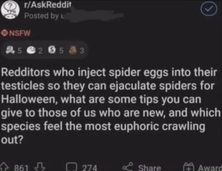 brainrot dimension tweet media