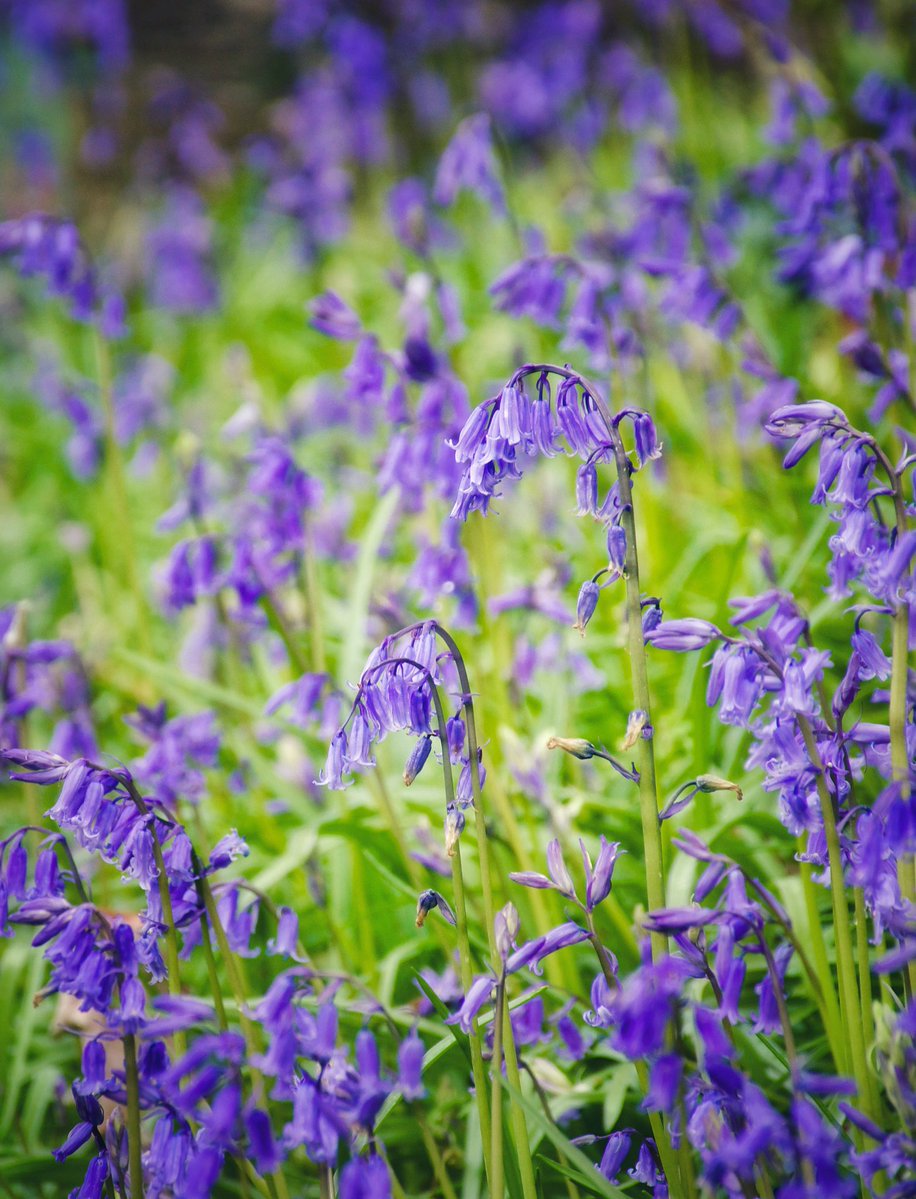 Sarah Parry tweet media