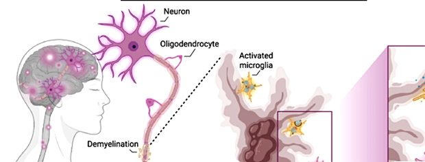 SpectronRx tweet media