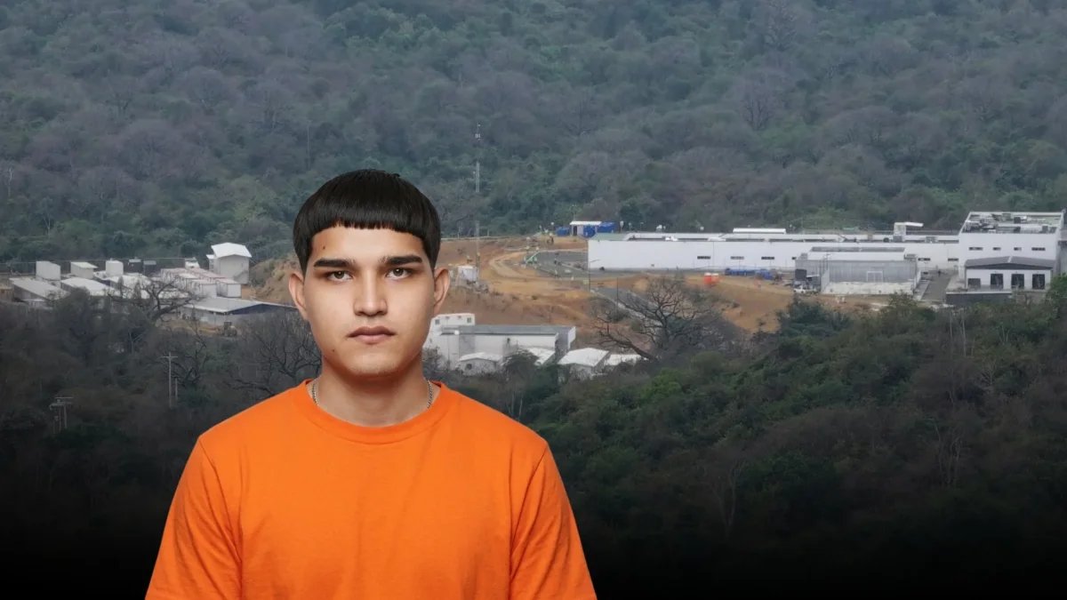 Contraplano tweet media