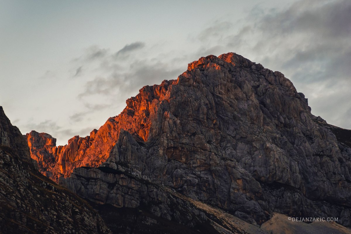 Dejan Zakic tweet media