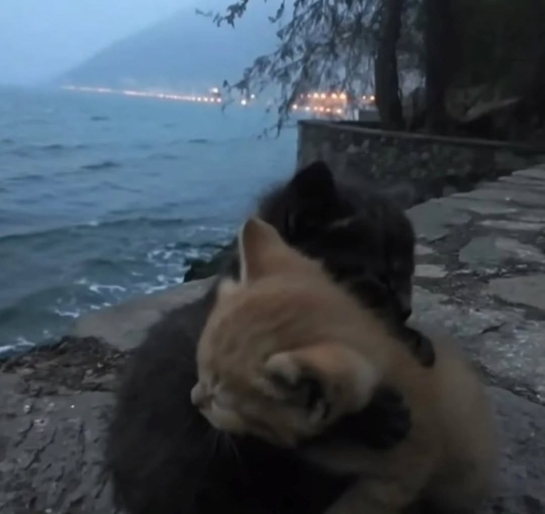 bubyfess's tweet photo. Us in 2026 so far (he is my safe place 24/7) https://t.co/Ce12NW1QmG