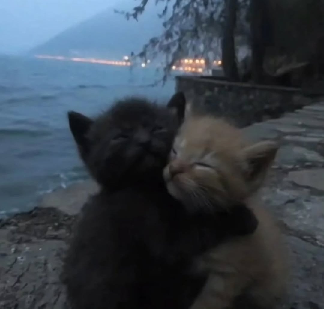 bubyfess's tweet photo. Us in 2026 so far (he is my safe place 24/7) https://t.co/Ce12NW1QmG